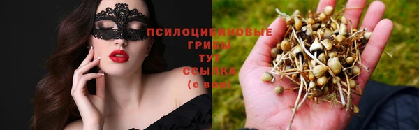 твердый Аркадак